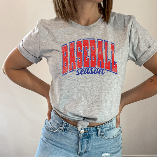 Baseball Season Grunge