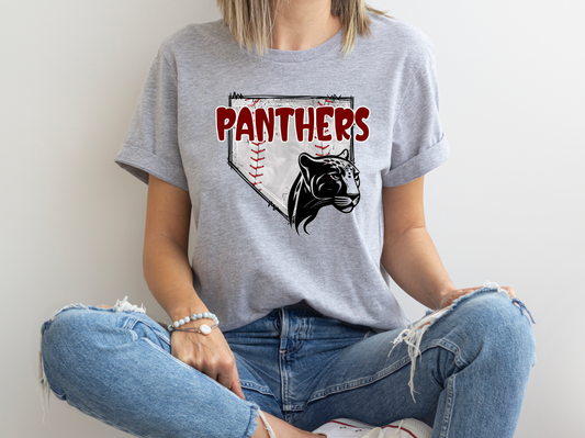 Panthers Home Plate