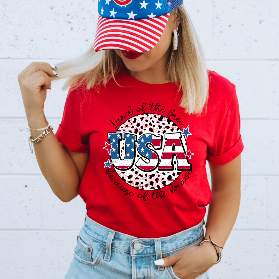 USA Dalmatian